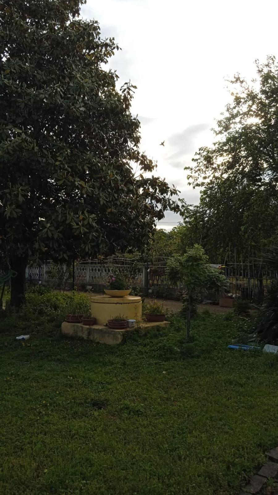 Casina Maria Apartment Rome Bagian luar foto